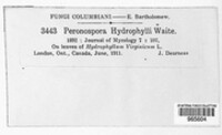 Image Associated With the Occurence